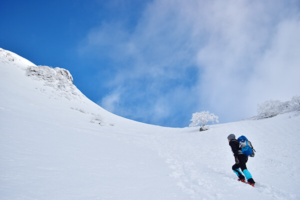 雪深い伊吹山でトレッキングする人
