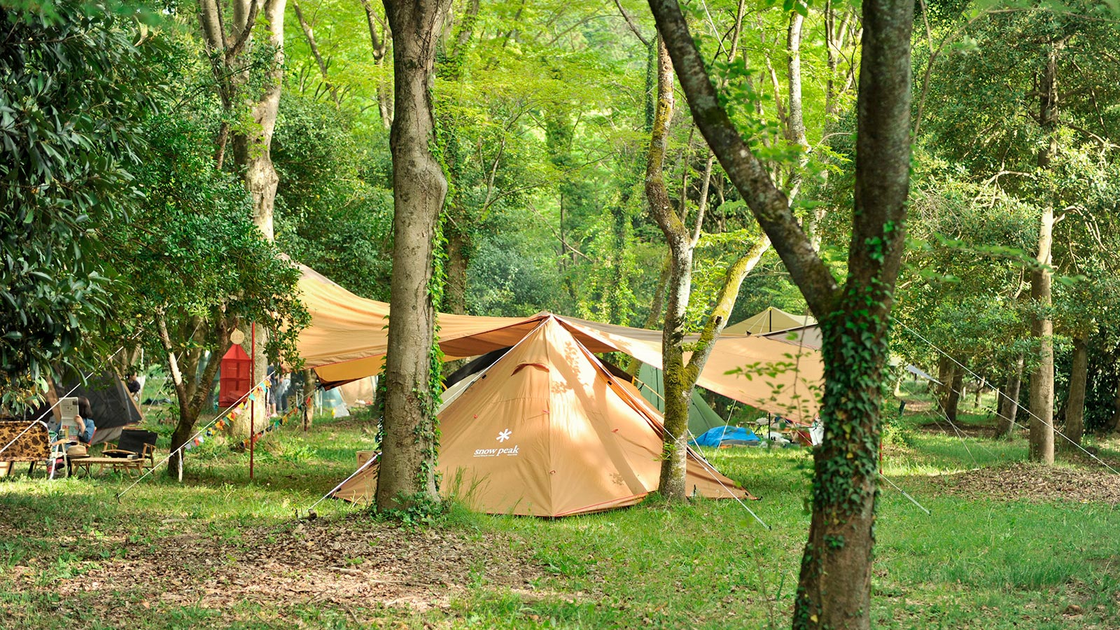 グリーンパーク山東でテントを張ってキャンプ