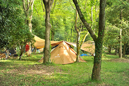 グリーンパーク山東でキャンプをする人たち