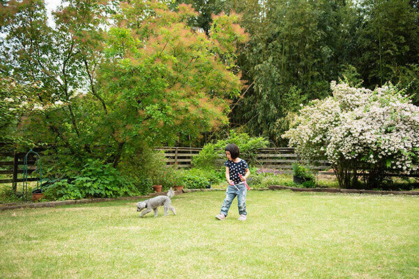 芝生の中庭で遊ぶ娘さんと愛犬