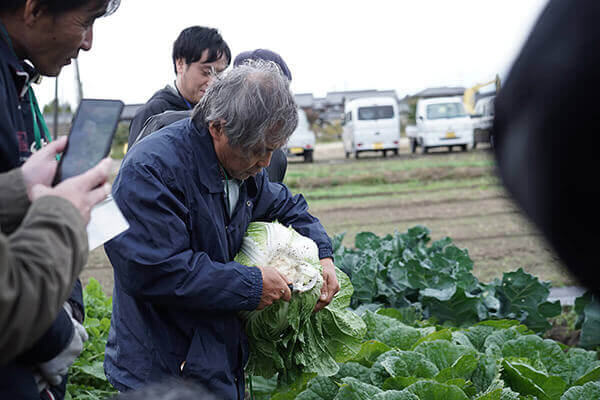 白菜の収穫方法を教える講師