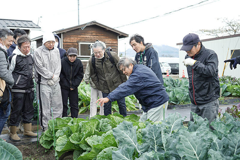 野菜づくりの実習指導を受ける受講生たち
